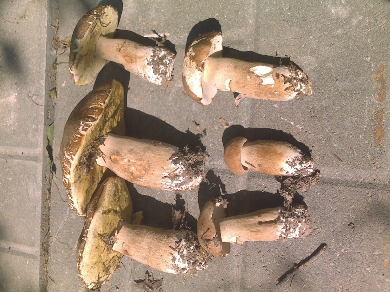 01072011581.jpg