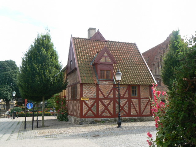 P1140723.JPG