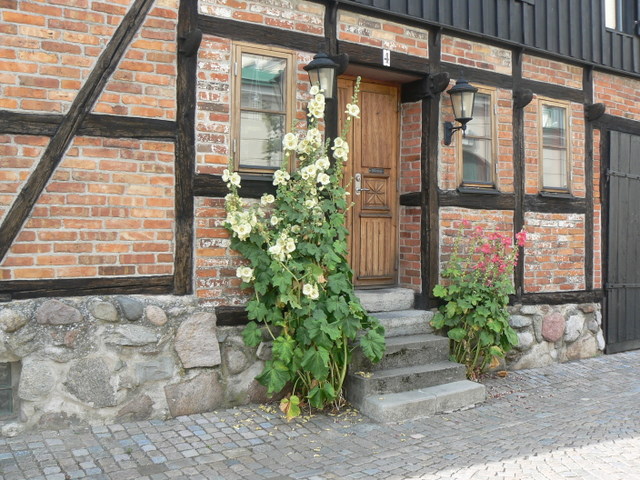 P1140758.JPG