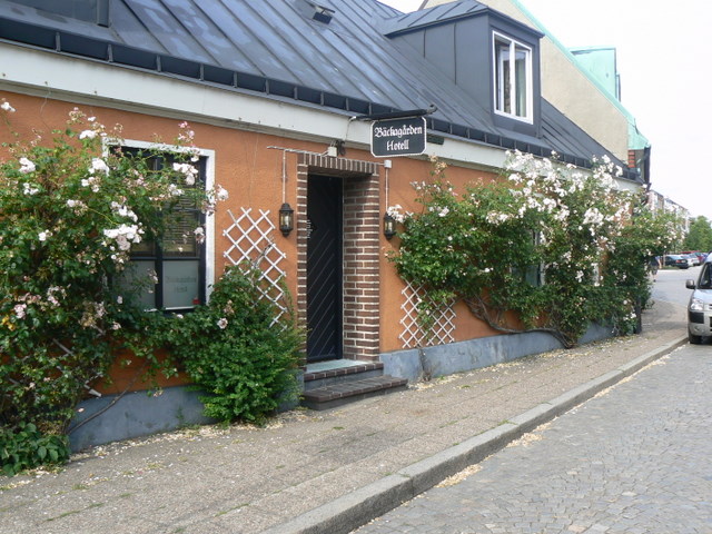 P1140809.JPG